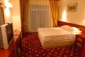 Het hotel is uitstekend gelegen aan de lange kuststrook van het kristalheldere water van Ohrid Meer en bevindt zich op ongeveer zeven kilometer afstand van het centrum van de stad.