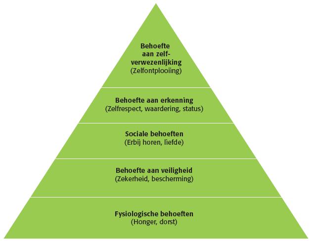 Psychologische factoren (Maslow) De twee belangrijkste onderdelen zijn: 1. Invullen van onder naar boven 2.