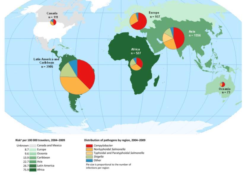 rotavirus 6 Salmonella 7 Campylobacter 8