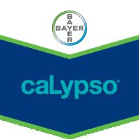 Calypso Volg de gebruiksaanwijzing om gevaar voor de menselijke gezondheid en het milieu te voorkomen.