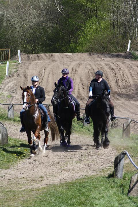 Paardenvertier 2017 Zaterdag 22 april.