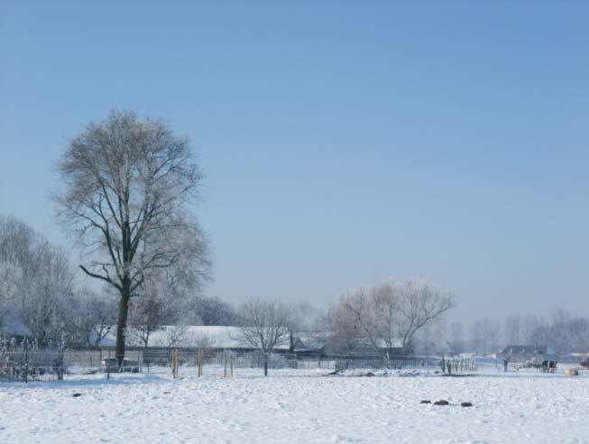 De koude januarimaand bood voor het eerst sinds lange tijd weer eens een tiental dagen onvervalst winterweer met schaatsplezier.