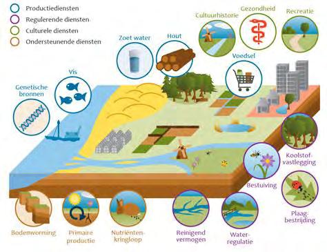 METROPOLITAAN KUSTLANDSCHAP 2100 Als eerste voorwaarde voor een duurzame ontwikkeling van het kustgebied, geldt bescherming tegen overstroming.