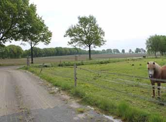 In de buitenbak bevindt zich een zandbodem