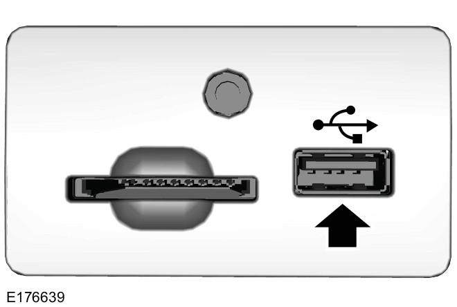 SYNC 2 USB-poort De USB-poorten bevinden zich in de middenconsole of achter een klein klepje in het dashboard.