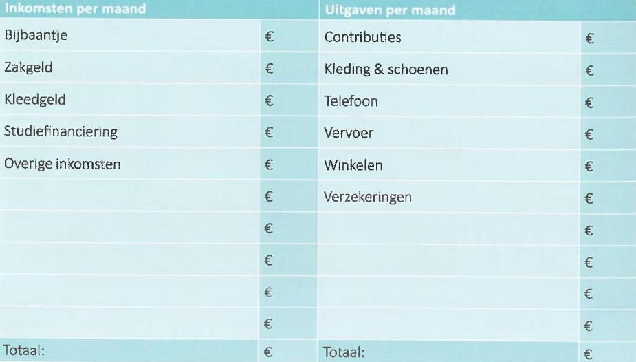 rekenen en burgerschap Plaatjes komen