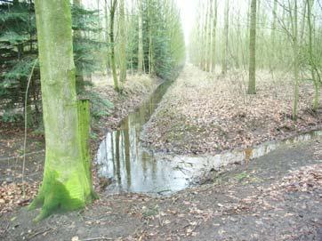 Beemdloop (gelegen in het lage deel van Dierdonk, aan de westkant, afwaterend op het kanaal) en de watergang langs de Dierdonksestraat (huidige Arcenlaan) afwaterend op de Bakelse Aa.