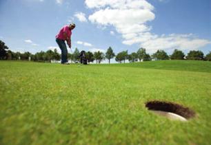 Sportief bezig zijn Golfen (ca. 2 km) U kunt golfen op de 9 holes puttinggreen van Golfbaan Tespelduyn. Arrangementen zijn verkrijgbaar bij de receptie. www.tespelduyn.
