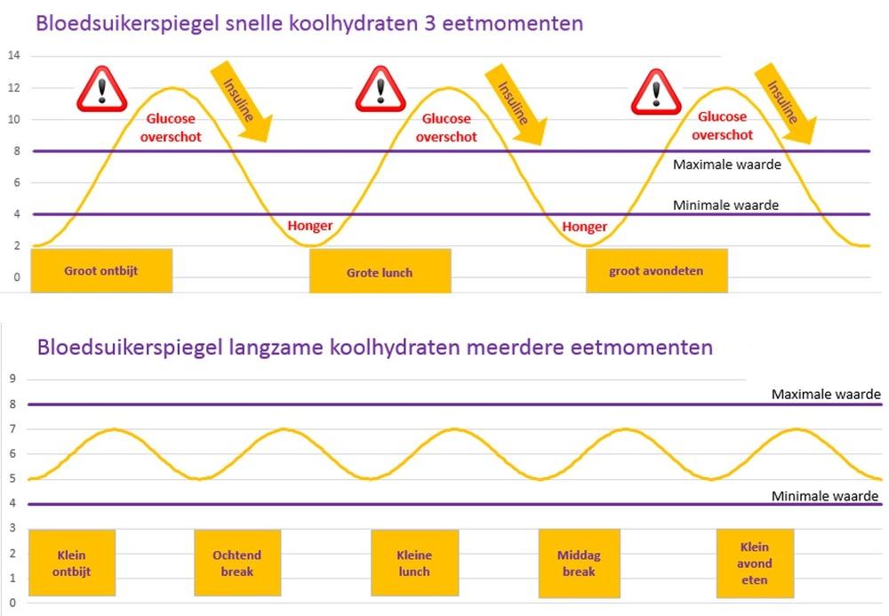 Als je regelmatig snelle suikers eet, dan kom je in een vicieuze cirkel terecht: Snelle suikers hoge bloedsuikerspiegel meer insuline lage bloedsuikerspiegel vermoeidheid/hongergevoel drang naar