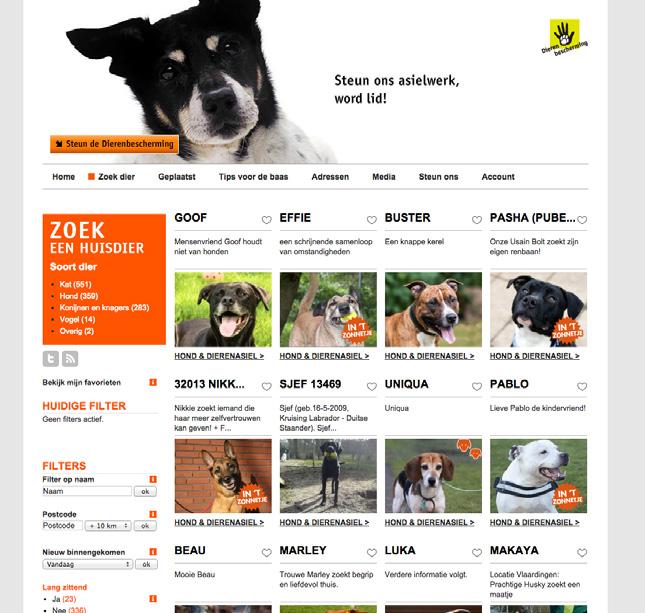Online: oriëntatie Wanneer we de website van Ik Zoek Baas en de websites van de dierenasielen