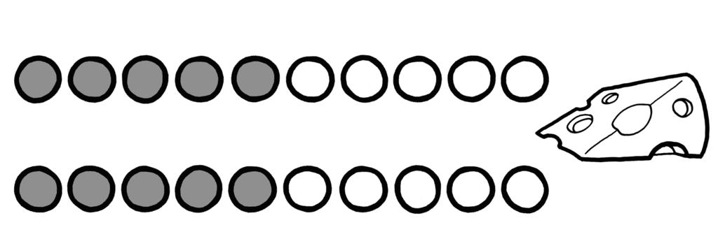 Kopieerblad 2: Muizenrace (rechterkant) Hoort bij peilingactiviteit 1: Muizenrace