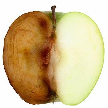 Bruinkleuring van appels 1. Onderzoeksvraag Wat zorgt er voor dat appels een bruine kleur krijgen en kunnen we dit proces remmen? 2. Voorbereiding a.