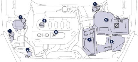 Onderhoud BlueHDi-dieselmotoren Dit overzicht is een hulpmiddel bij het controleren van de verschillende vloeistofniveaus, het vervangen van bepaalde onderdelen en het ontluchten van het
