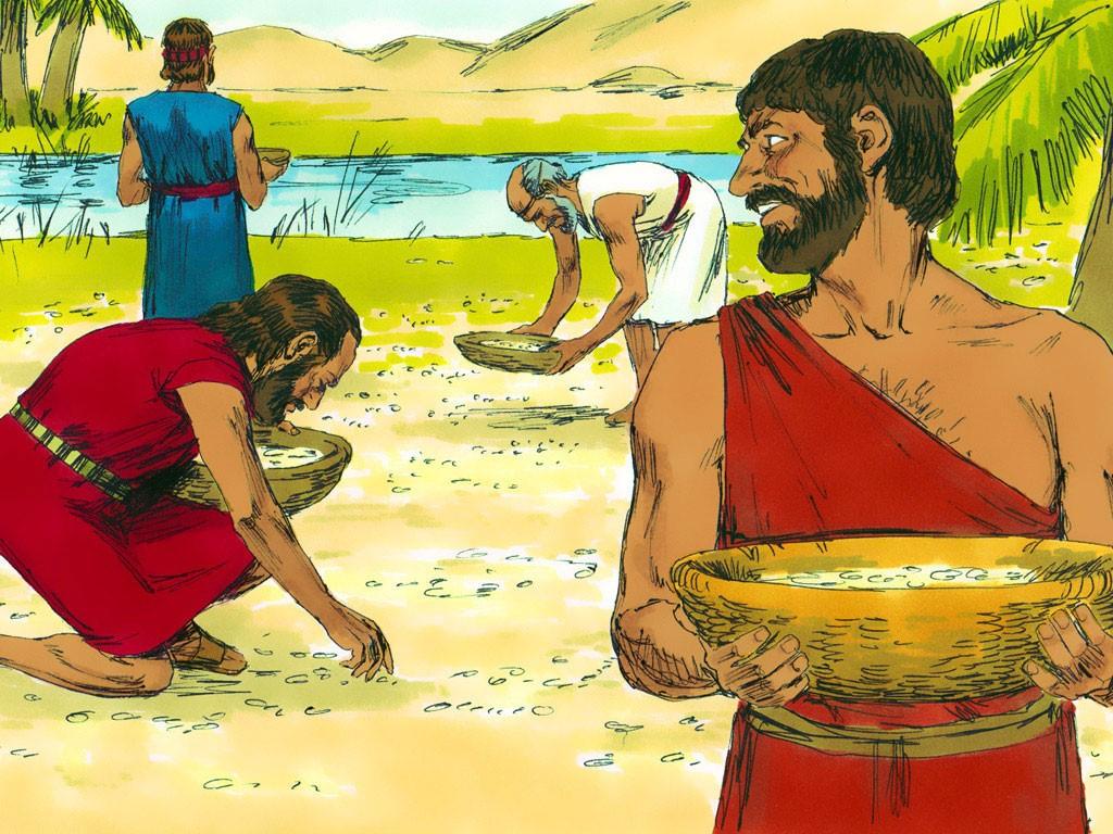Wat gebeurde in de ochtend? Exodus 16:13, laatste deel en 14-15, eerste deel en in de ochtend was er een laag dauw rondom het kamp.