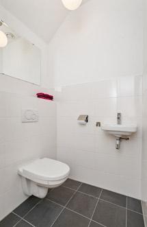 moderne luxe toiletruimte met zwevend toilet en fontein.