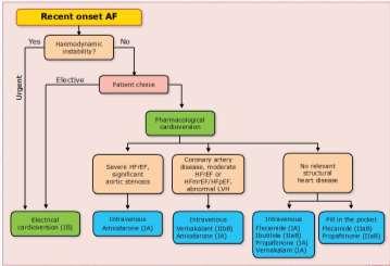 4 peilers Behandeling Voorbeeld Resultaat Patiënt voordeel Acute herstel sinusritme Herstel hartfrequentie, symptoombestrijding Behandeling uitlokkende factoren (CVRM = cardiovasculair risico
