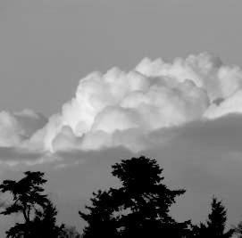 Figuur 4 Cu Congestus. De Bilt, 7 dec 2005 Een andere verwante wolkensoort is Cumulonimbus, de buienwolk. Deze ontstaat wanneer de bovenste delen van de stapelwolk gaan bevriezen.