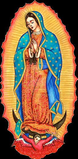 Onze-Lieve-Vrouw de Maagd van Guadalupe is de beschermheilige van Mexico, en sinds 1945 van heel Latijns-Amerika.