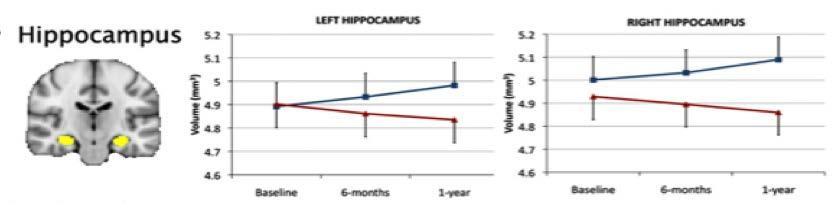 Wetenschappelijke eviden<e: mensen Erickson et al.