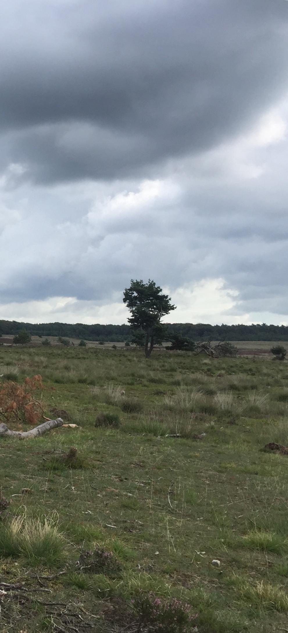 oud Komen kernwaarden in gevaar