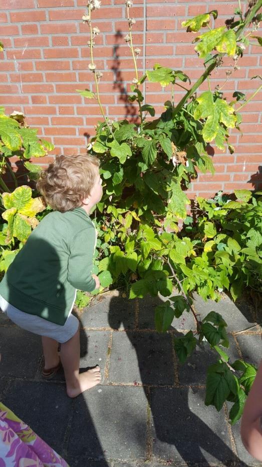 Schoolreisje Donderdag 29 september gaan we weer op schoolreisje. De leerlingen van de groepen 1 t/m 3 gaan naar Brakkefort, de groepen 4 t/m 6 naar de Spelerij en de groepen 7 en 8 naar Nemo.