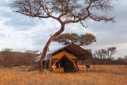 Verblijf: Kenzan Camp FB Dag 9 en 10 In de ochtend vroeg op, want vandaag gaan jullie de Serengeti ontdekken.