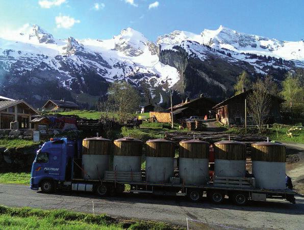 gedeelte Levering van 6 semi-ondergrondse containers Tierso in de Alpen. Met afsluitbare trommel en toegangscontrole.