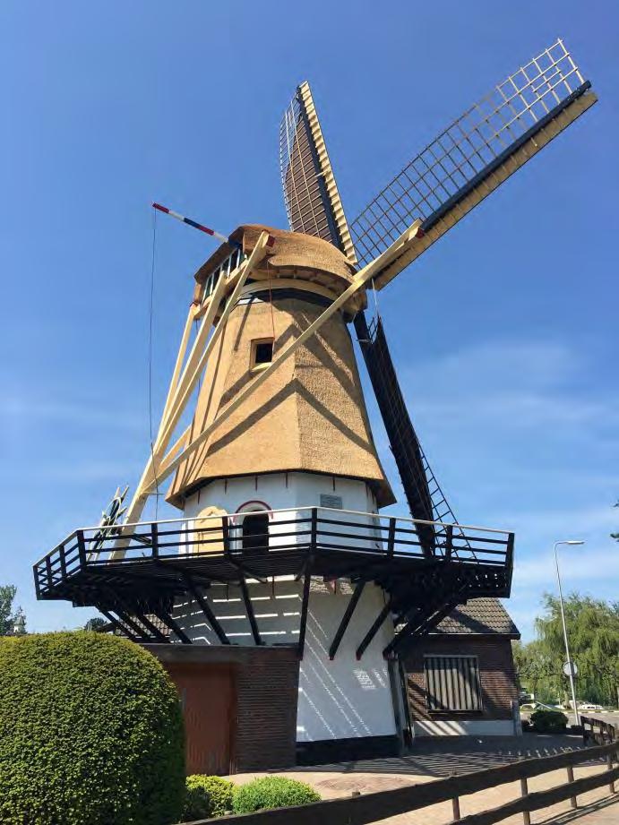 Korenmolen De Hoop te Maasdam Geschiedenis Sint Anthoniepolder en Maasdam waren van oorsprong niet in het bezit van een korenmolen.