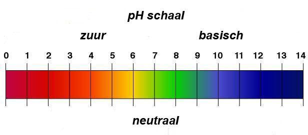 Hoofdstuk 1 Inleiding 1.1 Achtergrondverhaal Ze zijn goed of slecht, klein of groot en leven alleen of in kolonies: de bacteriën.