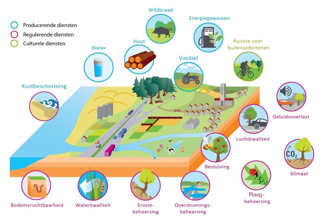 Figuur 1. toont onze afhankelijkheid van ecosysteemdiensten in een multifunctioneel landschap.