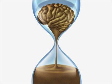 Time is brain! Verlies van neuronen, getallen.