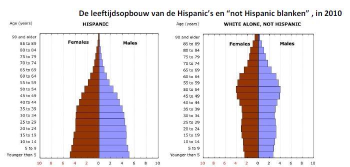 7-b-Met hoeveel procent daalt het percentage blanken in de VS tussen 1970 en 2050?