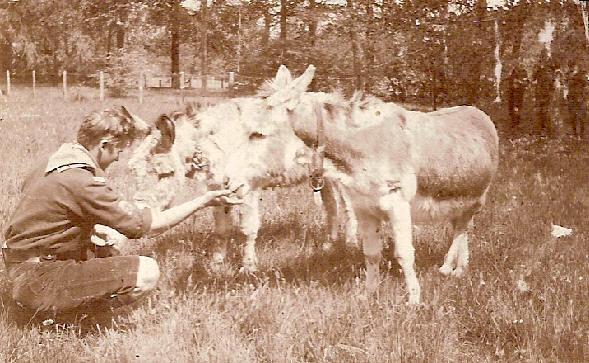 Uit een brief van zijn tante Nella (jongere zuster van Moeder Hilda) Drafna Naarden 1899 Lieve Tom, Je zult wel verwonderen een brief van mij te krijgen, maar in naam van mijn hele familie