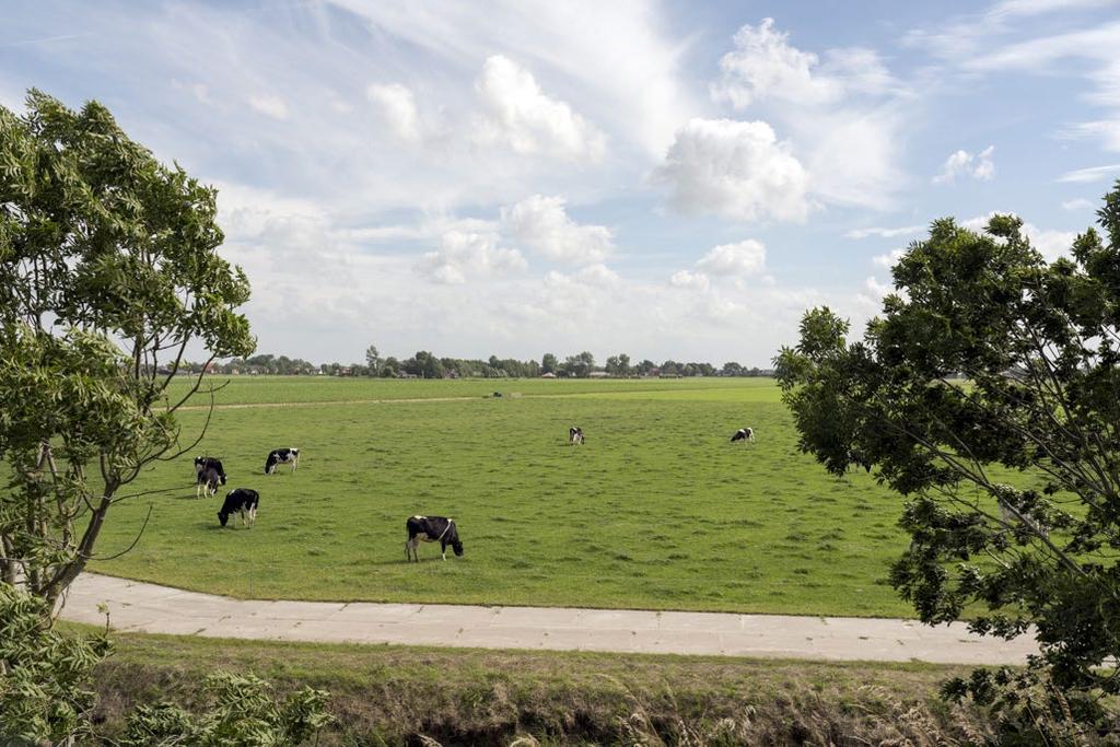 West-Friesland West Provincie Noord-Holland CONTEXT De Westfriese Omringdijk vormt een herkenbare omlijsting van het oude zeekleilandschap van West-Friesland. Hierin liggen diverse droogmakerijen.