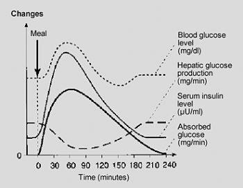 De Orale Glucose Tolerantie Test