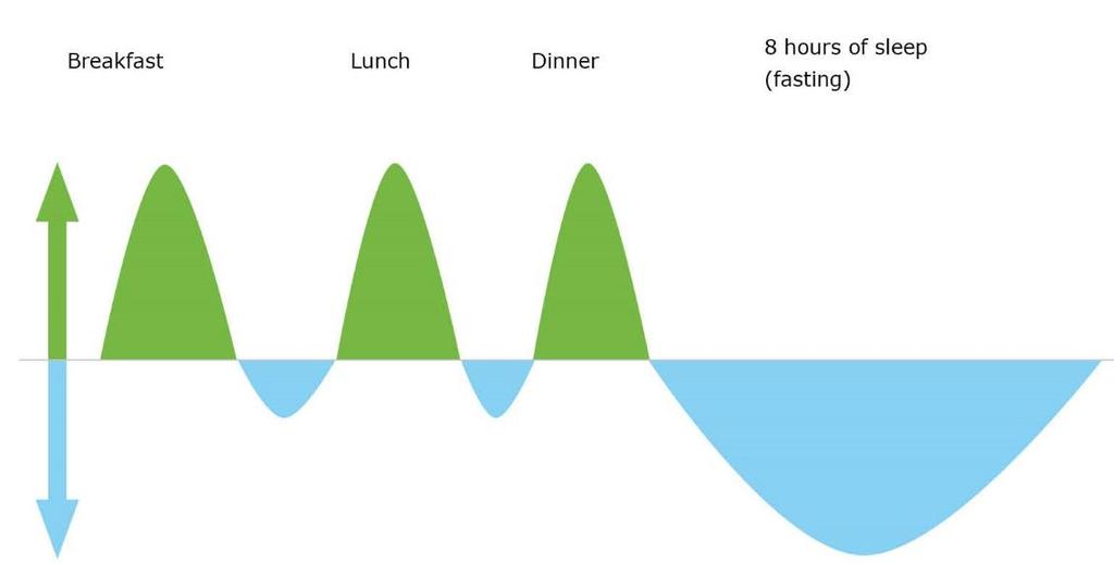Wat gebeurt er tijdens eten: