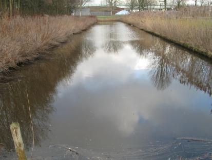 In de watergangen aan de zuidkant van de Monoliet is het waterpeil NAP -4,30 m.