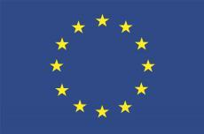 EUROPEES FONDS VOOR ASIEL, MIGRATIE EN INTEGRATIE (AMIF) Nationaal Programma 2014-2020 Vlaams luik Oproep nr. 427 ACTIEF EN GEDEELD BURGERSCHAP Korte samenvatting van de oproep.