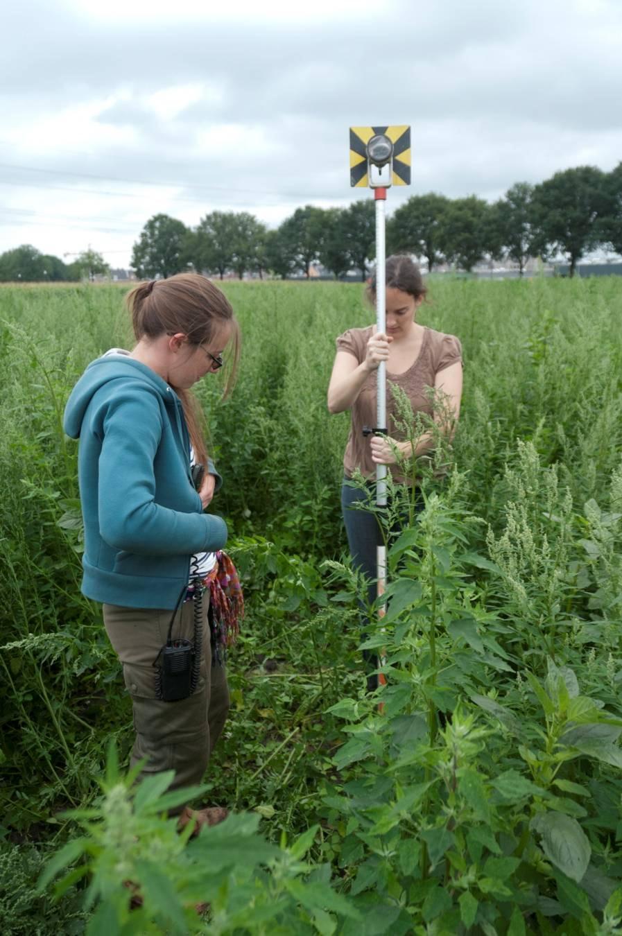 werkputten en