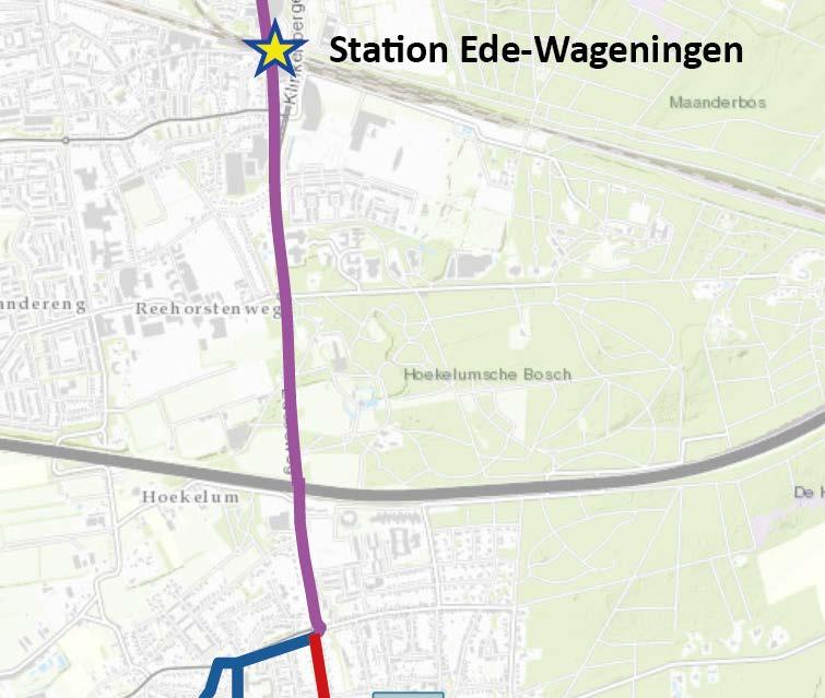 CONSEQUENTIES Variant 1, 2A en 2B Over 3 bomen zijn vragen Grondverwerving voor 1 waardevolle boom Vrijliggend fietspad 9 bomen verwijderen. 5 bomen behouden bij opschuiven fietspad + voetpad.