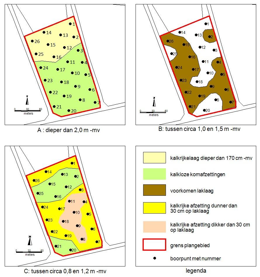 In de boringen 4, 8 t/m 11 en 18 is deze kalkrijke laag dikker dan 30 cm in de overige boringen dunner dan 30 cm (afbeelding 10C).