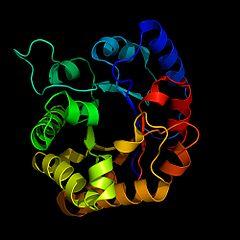 Enzymactiviteit van Amylase Harrie Konninger, Bonhoeffer College Enschede Voorbereiding Introductie Een enzym is een eiwit, dat een bepaalde reactie in of buiten een cel katalyseert, dat wil zeggen