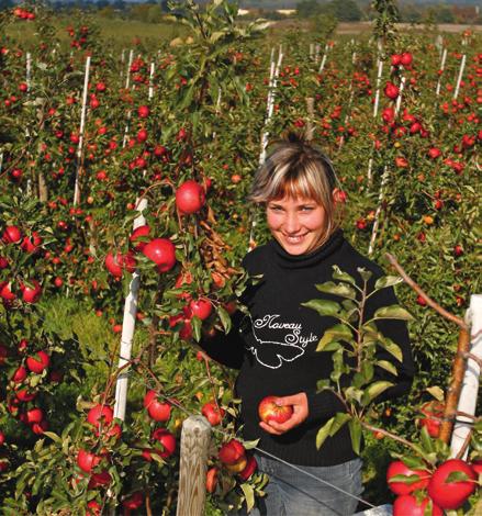 De zekerheid van Coragen Veilig voor natuurlijke vijanden en bestuivers Uit praktijkonderzoek blijkt dat Coragen geen effect heeft op de belangrijke natuurlijke