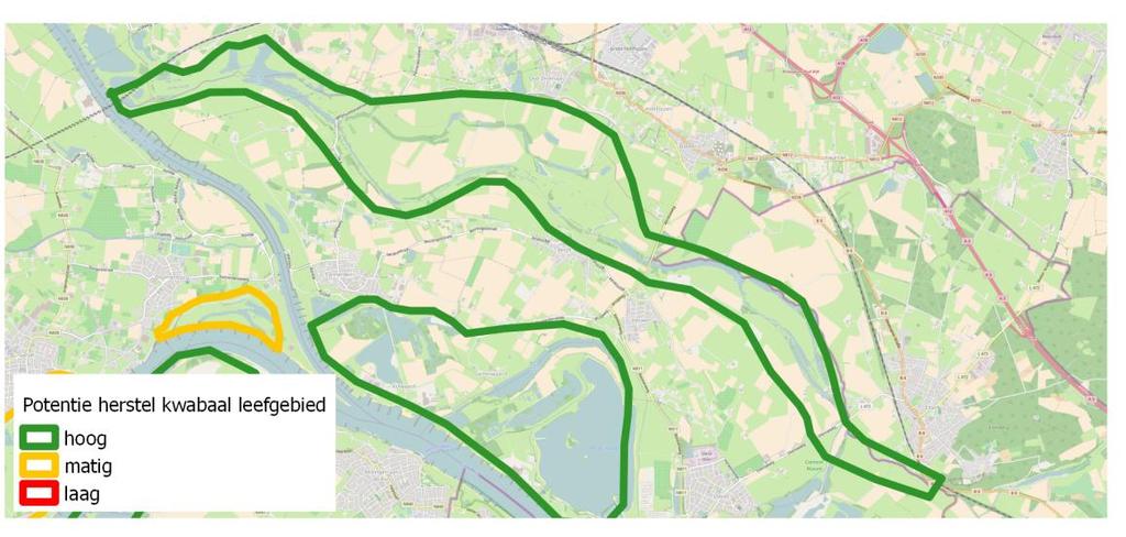 Kansen voor de kwabaal in Gelderland Maatregelen Maatregelen om de Rijnstrangen geschikt te maken als leefgebied voor kwabaal dienen gericht te zijn op het realiseren van overstroomde oevers, herstel