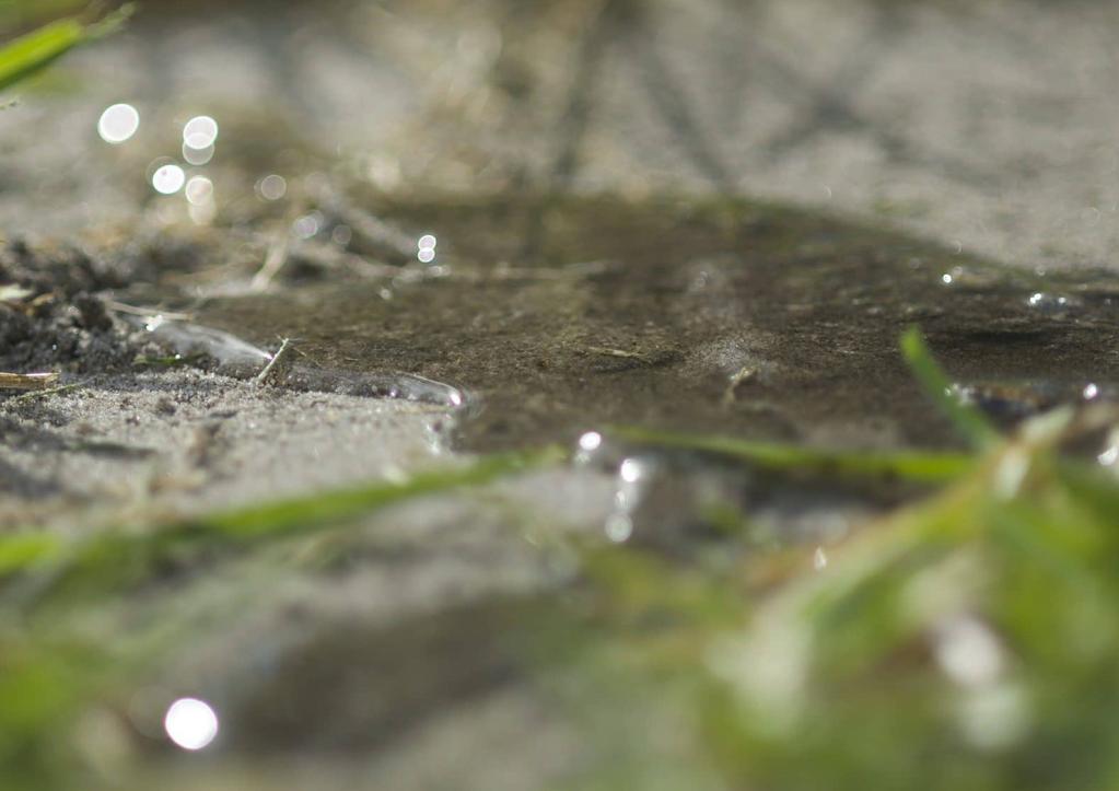 SOILS & HYDROPHOBICITY Tijdens een meer technische presentatie gaat Prof. Dr. Leinauer in op zijn expertise: de bodem, water en hydrofobe omstandigheden.