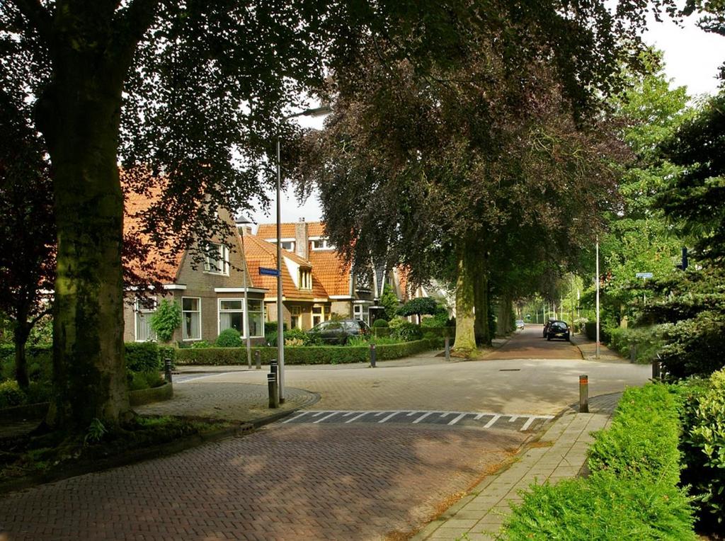 A - Alle beuken kappen: straat optimaal klimaatadaptief inrichten B - Gezonde beuken behouden: beuken zijn