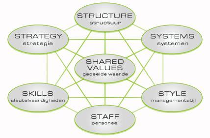 Strategie: jouw online marketingplan Stap 1: Het 7S-model Shared values Structure De inrichting van de onderneming Systems Alle formele en informele werkwijzen, richtlijnen en