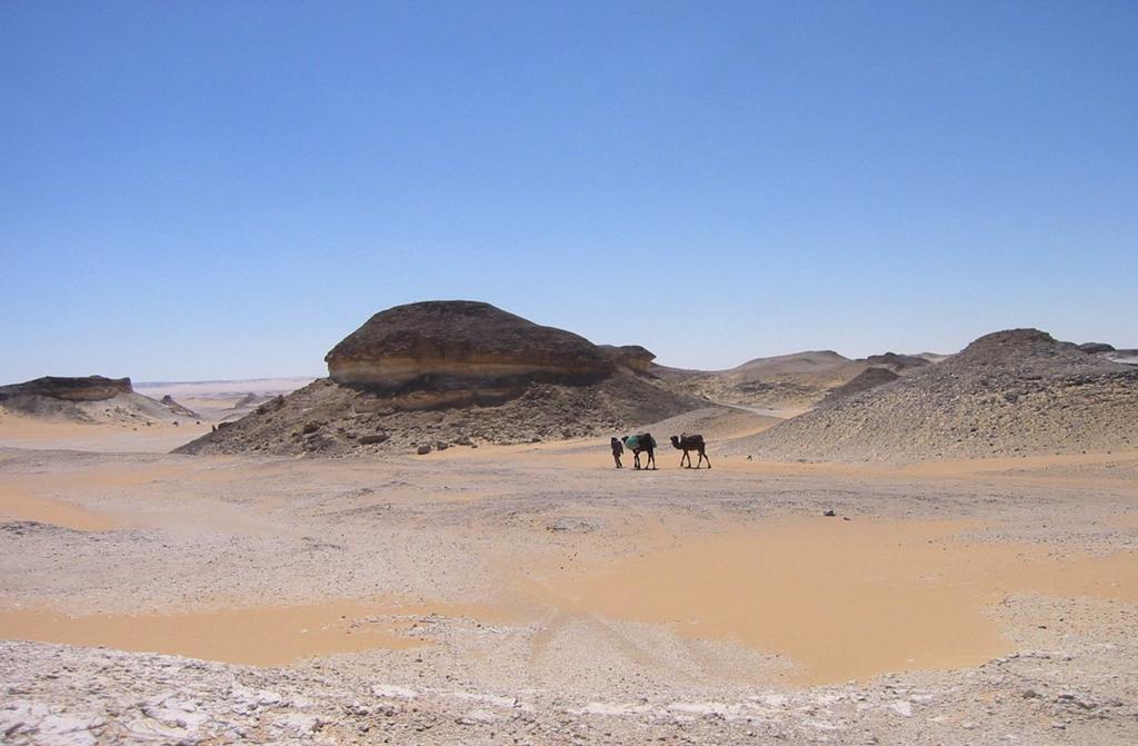 V oorwoord: Wie is de man met de kamelen? Margo van Eijck (2012) vertelt op haar blog (1): Ik ben spreker op een bijeenkomst.