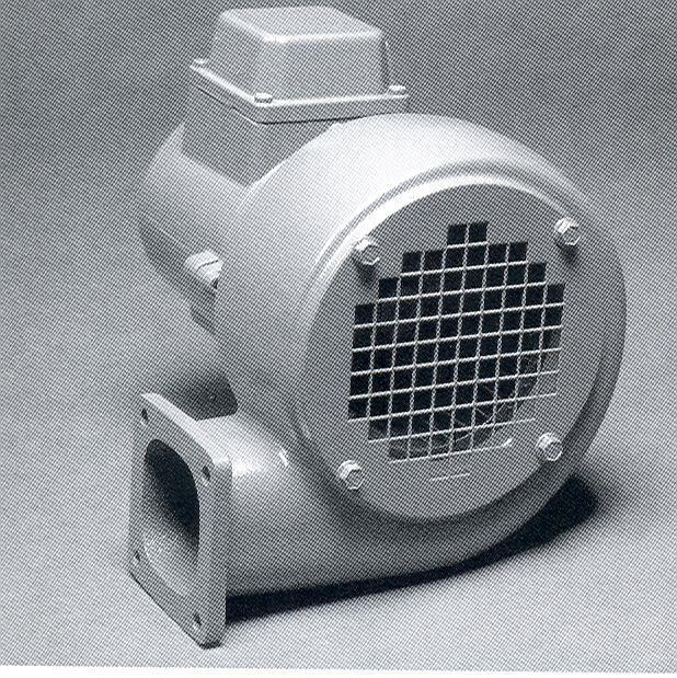 D03M, E03 S484 uitvoering totale lengte 227 mm. Condensator m³/min. Pa. V. Hz. Amp. o/min. kw. µf/v Kg.