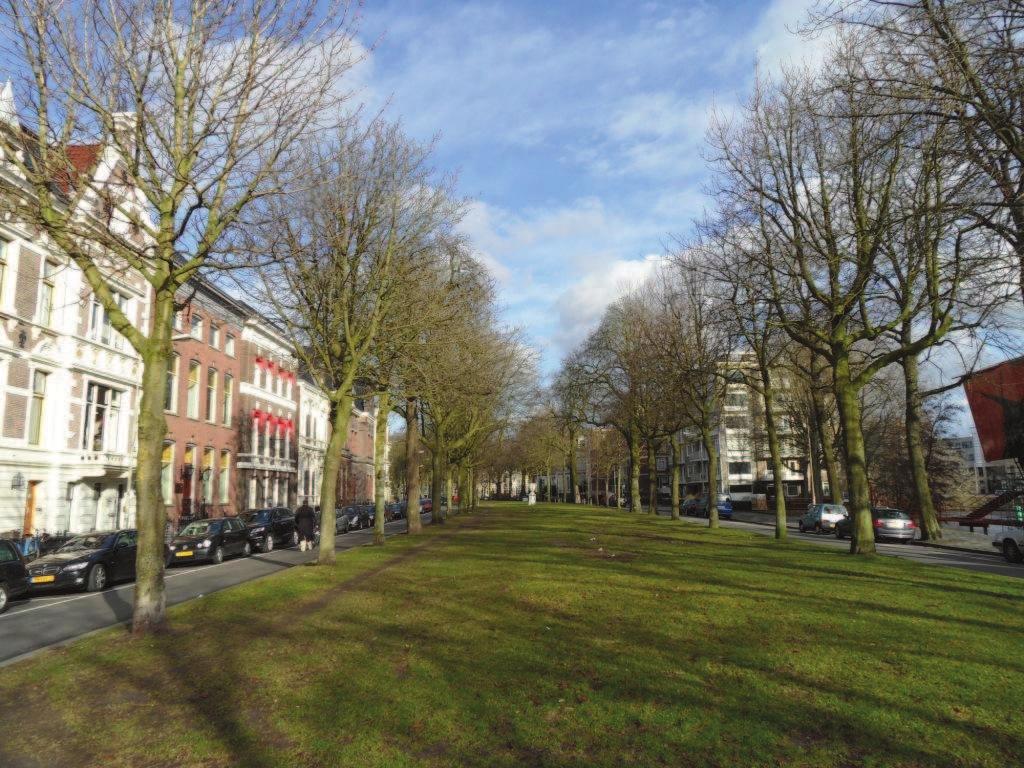 Groenadvies Amsterdam bv Boomonderzoek Singels te Groningen Vanwege het algemeen voorkomen van de bloedingsziekte en de onzekere toekomst van de aangetaste bomen, ligt het niet voor de hand om hier